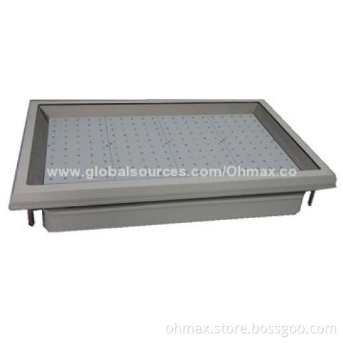 LED grow light with hydroponic system for indoor gardening, nursery plants, greenhouse growth